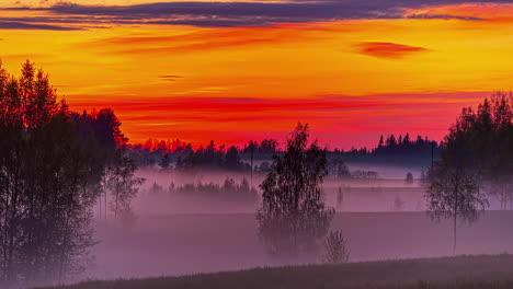 Amazing-Sunset-Scenery-On-A-Misty-Afternoon---Fusion-clip