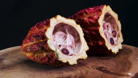 Drehung-Der-Halbierten-Kakaofruchtschote---Theobroma-Cacao