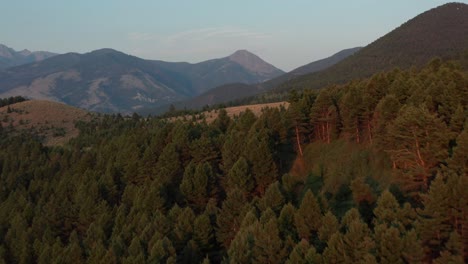 Una-Toma-Aérea-De-árboles-En-Movimiento-Que-Revela-El-Valle-Paradisíaco-Del-Río-Yellowstone-En-El-Suroeste-De-Montana