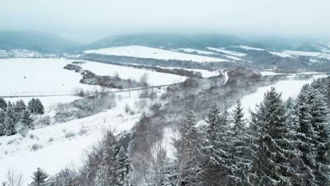 Winter-forest-aerial-view,-snowy-white-landscape,-drone-flying-forward,-overcast