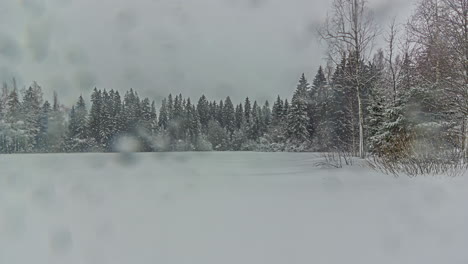 Time-lapse-of-snowy-windy-winter-conditions-with-rain-in-remote-woodlands