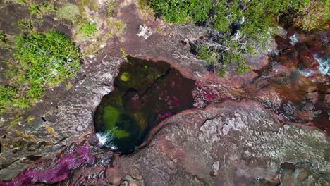 Blick-Direkt-Nach-Unten-Auf-Den-Rostfarbenen-Fluss-Caño-Cristales,-Der-Durch-Das-Felsige-Bett-Des-Regenwaldes-In-Kolumbien-Fließt
