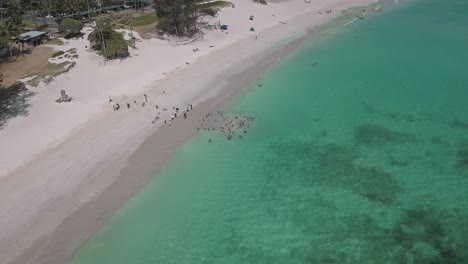 Aerial-view-of-kids-playing-in-the-ocean-at-Kailua-Oahu-on-a-sunny-day