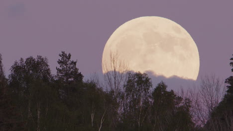 CLOSEUP-FULL-MOON---The-full-moon-rises-above-a-forest,-Sweden