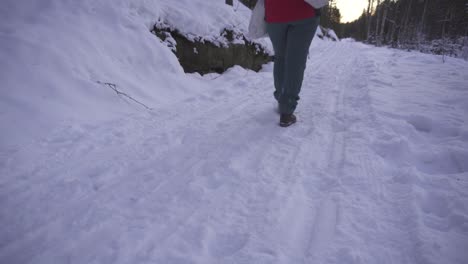 Mujer-Caminando-Por-Un-Camino-En-El-Bosque-Nevado-De-Invierno---Tiro-Inclinado-Hacia-Arriba