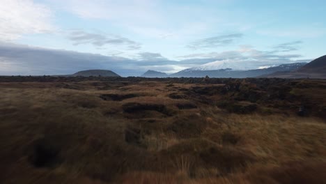 Island-Landschaft-Mit-Moos-Luftbild-Drohne