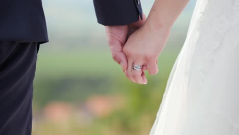 Bride-and-groom-standing-and-holding-hands-outside-in-nature-meadow-close-up-with-blurry-background-and-wedding-rings-on-their-hands