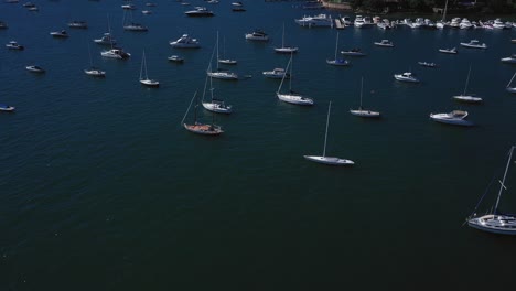 Sydney-Harbor-on-a-beautiful-sunny-day-from-Double-Bay-featuring-boats,-blue-sky-and-water
