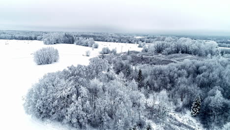 Wonderful-winter-wonderland-landscape-field-and-forest-in-snowy-weather