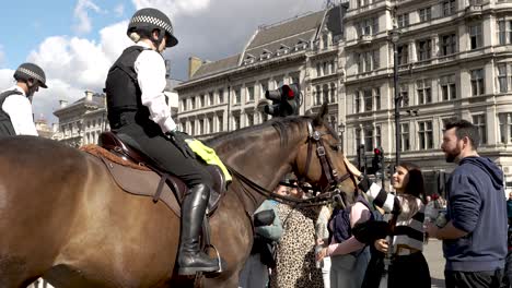 Tourists-Petting-Met-Police-Horse-At-Parliament-Square-On-Sunny-Day