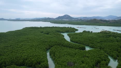 tropical-green-mangrove-river-forest-in-Thailand-on-cloudy-day-with-mountain-on-horizon,-aerial