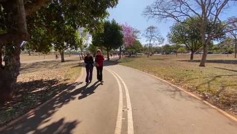 Gleitbilder-Auf-Einer-Der-Vielen-Fußgängerstraßen-Inmitten-Grüner-Natur-Im-Brasilia-Stadtpark