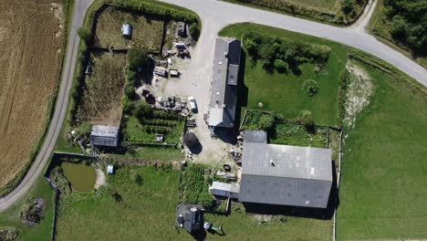 an-animal-farm-in-snedsted-in-denmark,-filmed-with-a-drone-from-above-in-perfect-sunlight