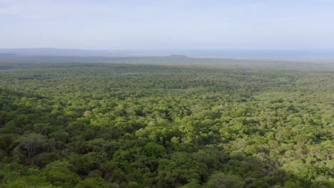 Filmische-Luftaufnahme-über-Grün-Wachsender-Landschaft-Der-Dominikanischen-Republik-Im-Sommer