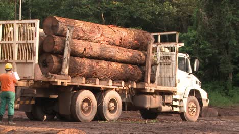 Holzfäller,-Die-Eine-Ladung-Baumstämme-Aus-Dem-Amazonas-Regenwald-Wegschleppen