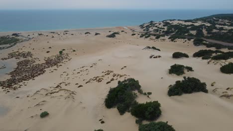 Dune-di-Piscinas,-a-huge-massive-sand-desert-dune-by-the-seaside-with-a-sandy-ocean-sea-beach-on-the-island-Sardinia,-Italy