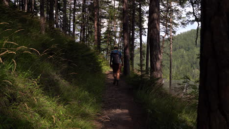 Parte-Posterior-Del-Excursionista-Masculino-Caminando-Por-El-Bosque-Con-Muchos-árboles-Altos