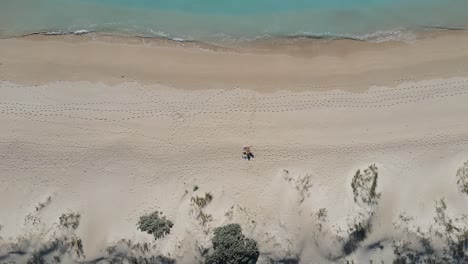 Descend-top-down-shot-of-person-relaxing-on-sandy-beach-in-front-of-australian-Ocean-during-summertime