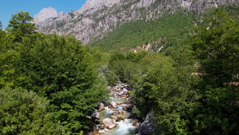 Wunderschöner-Fluss-Im-Valbona-Tal-Mit-Sauberem-Wasser,-Das-Wild-Auf-Klippen-Durch-Grünen-Wald-Spritzt