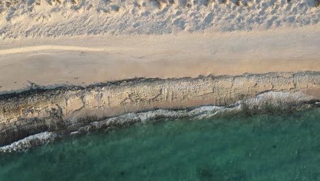 Aerial-top-down-shot-of-empty-sandy-beach-with-clear-ocean-water-of-Australian-coast-in-summer