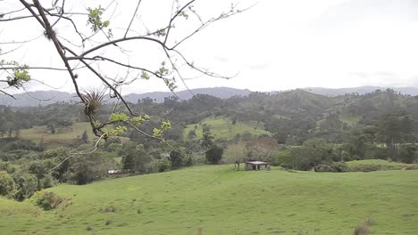 Panoramic-view-of-wide-beautiful-green-rural-area,-typical-jarabacoa-countryside