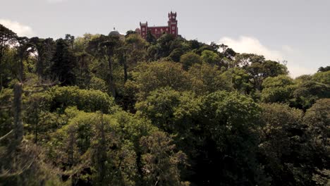 üppiger-Wald-Im-Naturpark-Und-Pena-palast-Sintra,-Lissabon,-Portugal