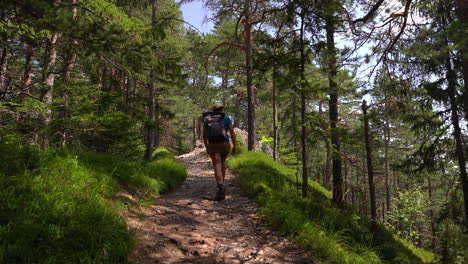 Parte-Posterior-Del-Excursionista-Masculino-Caminando-Por-El-Bosque-De-Agujas-En-Europa-Durante-El-Día-Brillante