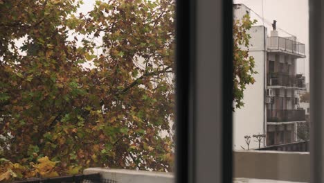 Blick-Vom-Balkon-Der-Wohnung-Auf-Die-Herbstlichen-Bäume