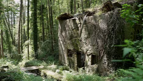 an-old-abandoned-house-that's-falling-apart-in-the-middle-of-the-woods