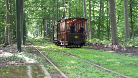 Old-vintage-tram-passing-by-in-a-beautiful-green-forest-landscape