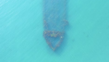 Kelp-covered-sunken-trawler-boat-in-calm-blue-water-of-Iceland,-aerial