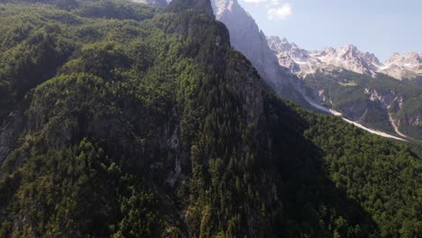 Hermoso-Bosque-Con-Densos-Pinos-En-La-Ladera-De-La-Montaña-Alpina-En-Albania,-Lugar-De-Senderismo-Y-Escalada