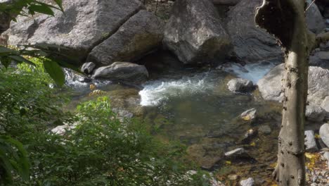 Flowing-Creek-Through-Rocks-And-Stones---Crystal-Cascades-In-Redlynch,-Queensland,-Australia