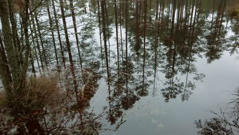Estonia,-Parque-Nacional-Lahemaa,-Torre-De-Observación-Viru-Raba,-Lago-Con-El-Reflejo-De-La-Naturaleza-Y-Los-árboles
