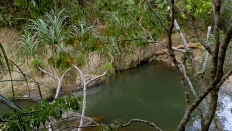 Piscinas-De-Roca-Natural-En-El-Bosque-Tropical-De-Cascadas-De-Cristal-Cerca-De-Cairns,-Queensland,-Australia