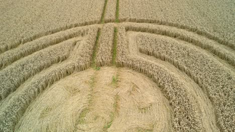 Aerial-view-across-strange-symmetrical-patterned-Sydmonton-countryside-crop-circles-on-idyllic-British-wheat-field-low-reverse-shot