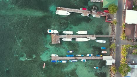 Aerial-top-down-view-of-docked-sailboats-with-palms,-houses-on-the-coast-of-Roatan-island,-Atlantida,-Honduras