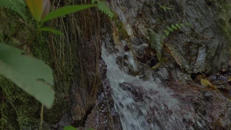 Süßwasser-Stürzt-In-Moosige-Felsen---Kristallkaskaden-Regenwald-In-Queensland,-Australien