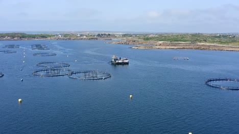 Ui-Flatharta-Fish,-Piscifactoría,-Ardmore,-Kilkieran-Bay,-Connemara,-Condado-De-Galway,-Irlanda,-Julio-De-2021