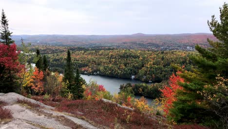 Blick-Auf-Einen-See-Und-Das-Bunte-Laub-Des-Rot-grünen,-Gelben-Und-Orangefarbenen-Waldes