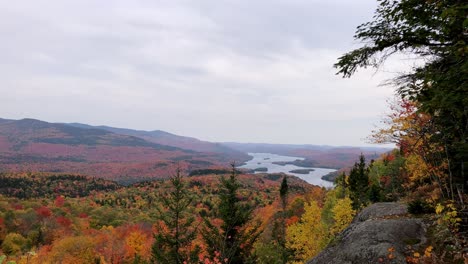 Cinematic-panorama-shot-of-many-coloured-native-trees-overlooking-a-lake