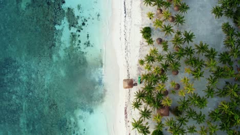 Aerial-bird's-eye-drone-view-of-a-beautiful-tropical-vacation-beach-with-crystal-clear-blue-water,-white-sand,-palm-trees,-and-a-kayak-and-lifeguard-tower-in-Riviera-Maya,-Mexico-near-Cancun