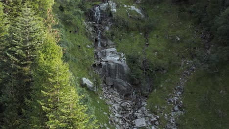 Drohnen-Luftaufnahme-Einer-Herde-Von-Bergziegen,-Die-Im-Flusstal-Weiden,-Umgeben-Von-Wäldern-In-Den-Italienischen-Alpen