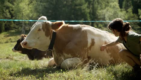 a-girl-petting-a-big-brown-and-white-cow-in-the-field-of-grass,-in-the-wild