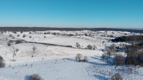 Hilly-woodland-plain-under-snow,Arnhem,Netherlands,cloudless-sky,drone