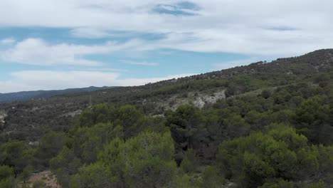 Arbustos-Y-árboles-En-Los-Acantilados-Rocosos-De-Las-Montañas-De-Alcoi,-Valencia,-España