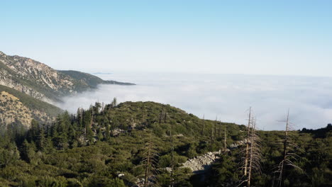 Aerial-Wide-View-of-Mountains-With-Pine-Trees-Above-Sea-of-Clouds,-Horizon-In-Distance