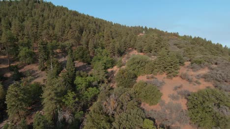 Fast-flight-over-the-forest-and-mountains-of-the-Tehachapi-wilderness-with-scenic-views-of-the-landscape
