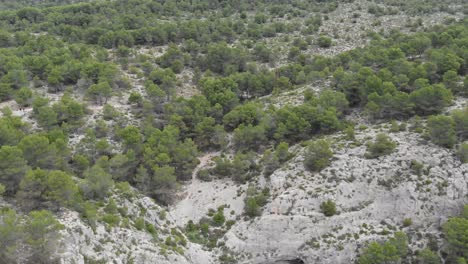 Felsige-Klippen-Der-Berge-Von-Alcoi,-Valencia,-Spanien,-Mit-Büschen,-Drohnenschuss