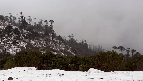 Montaña-Cubierta-De-árboles-Y-Nieve-Ligera-Al-Anochecer-Desde-Un-Video-De-ángulo-Plano-Tomado-En-Sela-Pass-Arunachal-Pradesh-India
